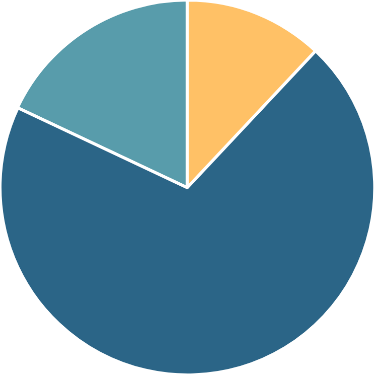 Care-for-vulnerable-populations-chart A pie chart representing care for vulnerable populations. 84.4% is low income. 19.7% is ethnic or racial minority. 13% is children & adolescents.